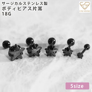 T[WJXeX 18G {fBsAX X^[ Xg[go[x AM[ ubN fB[X Y Ў