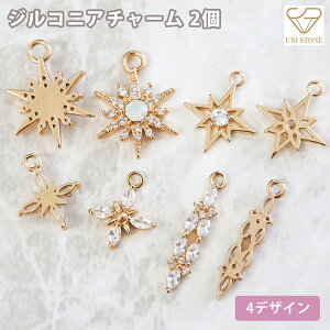 14KGF `[ WRjA Jt ANZT[p[c nhCh f S[h ޗ 2