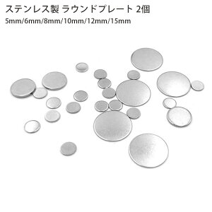 ステンレス プレート ラウンドプレート 穴なし フラット アクセサリーパーツ 素材 材料 丸型 タグ 金具 シルバーハンドメイド 2個