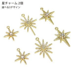 `[ Jt  ANZT[p[c nhCh f S[h 2