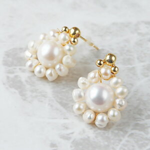 VRWp[ sAX ^ obNp[ p[Xg[ VR  t[ fB[X 6 a p[     X^bhsAX