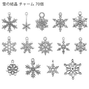 雪の結晶 チャーム カン付き アクセサリーパーツ ハンドメイド ミックス チャームセット シルバー 14種類