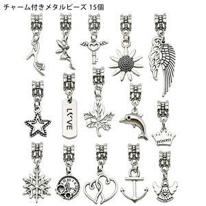 `[t ^r[Y Xy[T[r[Y f ANZT[p[c ANZT[gbv Vo[ h nhCh MIX ~bNX a4.5mm A\[g `[ r[Y 15