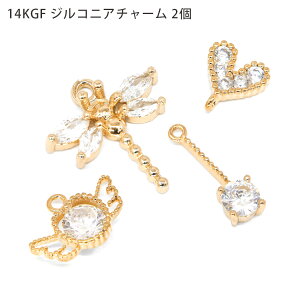 `[ 14KGF WRjA Jt ANZT[p[c nhCh f ޗ S[h WRjA 2