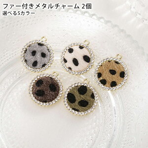 `[ Jt t@[ Eh ANZT[p[c | f 24mm 2