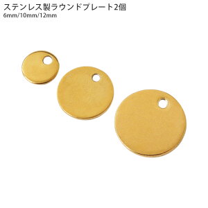 穴あき ゴールド プレート チャーム ステンレス アクセサリーパーツ 素材 材料 手芸 ハンドメイド 2個