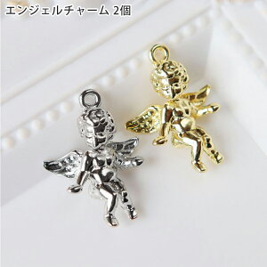 Vg`[ Jt  ANZT[p[c nhCh | ޗ f 23mm×17mm S[h Vo[ 2