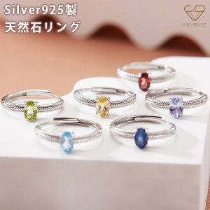 VR O w Silver925 󂠂  VR΃[Xgp Еۏ؏t ܎~ TCY\ t[TCY v[g