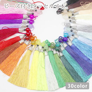 ^bZ r[Yt 30F Rt f ANZT[p[c CeA | nhCh 6{