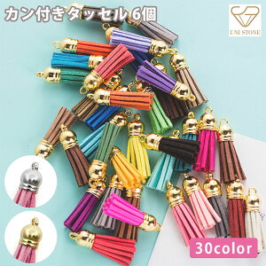 ^bZ `[ Jt XG[h S[h Vo[ ANZT[p[c nhCh |  f ޗ 6