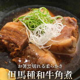 祇園みかく みかく牛肉角煮 一個入 250g 冷凍 惣菜 和牛 国産 贈答 お取り寄せ グルメギフト 贈り物 美味しい 気軽な 甘い 簡単な 甘辛い 高級な ラフな