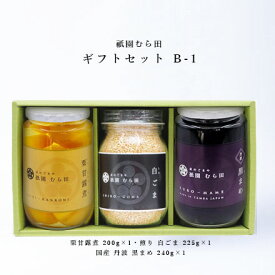 京都 祇園 京のごまや むら田 ごま 胡麻 京の味 無添加 公式 健康 美容 お取り寄せ 高級 本物志向 高品質 調味料 歳暮 中元 【 ギフトセット B-1 】