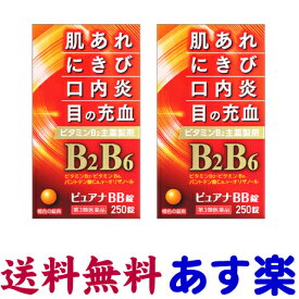 【第3類医薬品】ピュアナBB錠 250錠 X 2個セット