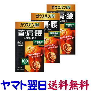 KEXoIN 60 ×3Zbg ЖʏW^Cv 100~Xe CÊ