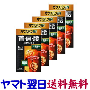 KEXoIN 60 ×5Zbg ЖʏW^Cv 100~Xe CÊ