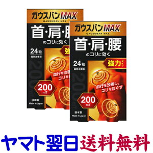 KEXoMAX 24 ×2Zbg CÊ