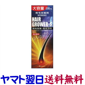 【指定第2類医薬品】ハツモール ヘアーグロアーS 250ml 発毛剤・育毛剤