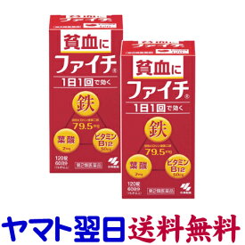 【第2類医薬品】ファイチ 120錠 ×2個セット（貧血症状に鉄分補給）
