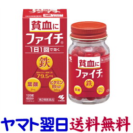 【第2類医薬品】ファイチ 120錠（貧血症状に鉄分補給）