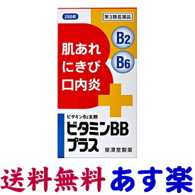 【第3類医薬品】ビタミンBBプラス 250錠