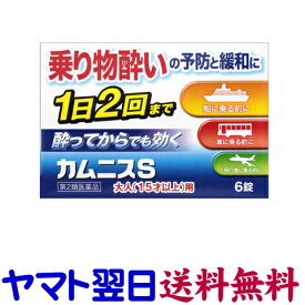 楽天市場 吐き気 止め 市販 薬の通販