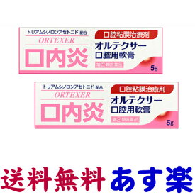 【第(2)類医薬品】オルテクサー口腔用軟膏 5g X 2個セット ケナログAと同じ有効成分の口内炎薬