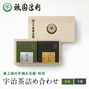 yԌP5{z s { {lߍ킹 (ʘI E݋ʘI 96g ×1 Eݐ t̗_ 96g ×1) 43551 _җ