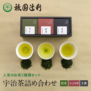 s { {lߍ킹 (ʘI ɉ_ 96g×1 Ԃ  96g×1   96g×1) 43557 _җ