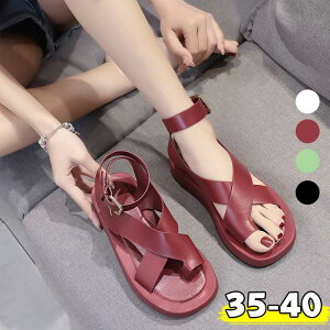 fB[X T_  V[Y pu T_ ʋC Vv  C ItBXV[Y K _炩 T_ rWlX ₷ ~ y t@bV