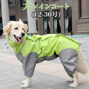 Xqt |`^Cv CR[g p CR[g ybgp ^E^ h J ~J΍ y ˍޕt  hbOEFA ybg |`WPbg Č S[