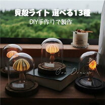 楽天市場】貝殻（間接照明｜ライト・照明器具）：インテリア・寝具 