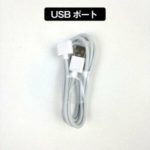 LeifenduV Ήp C[dP[u [df[^P[u Type CUSB ͂ō[dy݂ 1M