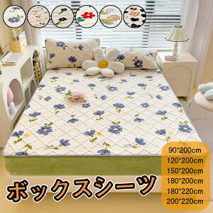 ~pbh VO }CNt@Co[ Pbg ~pbh ̌^ 􂦂 z  h z ʋC D Q΍  xbhpbh X^C xbh Ow\ pbh }b