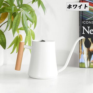 WE 傤 1L | XeX ؐnh  @JI Up ϗtA WE |pi