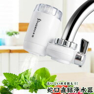 浄水器 蛇口 直結型 水栓ろ過システム 高除去タイプ 水ろ過装置 ウォーターサーバー 水道水フィルター 除…