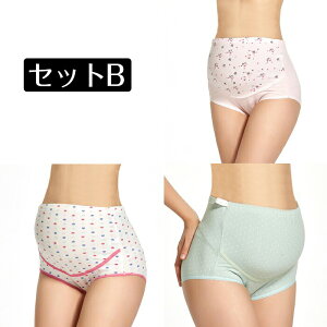 y3Zbgz}^jeB V[c    u nCEGXg oY ܂Ƃߔ fB[X pc  [ [ tBbg YO Y DP Dw 傫TCY Xgb` 