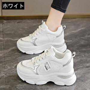 Xj[J[fB[X _bh V[Y EH[LOV[Y ^C h [XAbv Xj[J[ JWA 5.5cm gAbv  r ʋ ʊw Ȃ