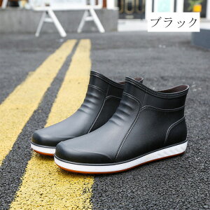 CV[Y Y Cu[c JC hV[g JWA Jp ~ | ނʋ ʊw IV K[fjO ~[C ~J΍