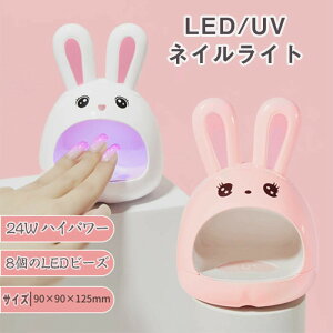 LED lCv 24 bglChC[@~jlCCg|[^ulCA[gc[~jlCvWFlCp