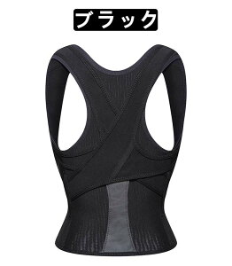 Lwxg w؋xg p ʋC K q l   p  p pT|[^[ ObY p pxg xg Lw pxg 