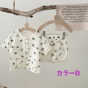 LbY [EFA K[[ ㉺Zbg ʋC LbY    Mtg q  _炩 y K Y{ q   ㉺Zbg 2_  i K[Y  