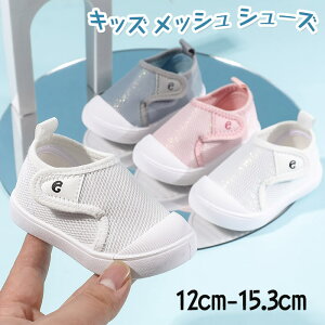 LbY C bV Xj[J[ ̎q j̎q qC bV V[Y ^C bV Ht ʊw ʋC EH[LOV[Y y X|[cV[Y JWAV[Y sK 