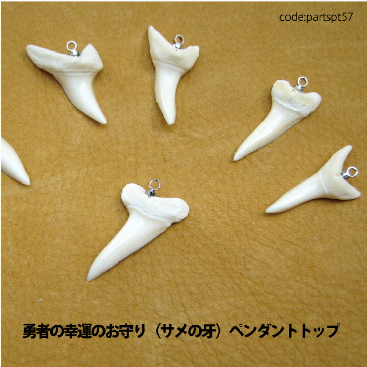 楽天市場】アクセサリー パーツ ペンダント サメ牙 サメ歯 (青サメ 