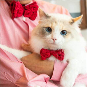 L̂߂̒lN^Ci[Y^Cjbh RED@ 킢  L̓ Mtg  Lp  Lp L ˂ L̎ lRObY LObY ˂ lR