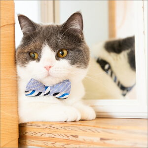 L̂߂̒lN^Cin[tTbJ[WW^Cju[ BLUE@ 킢  L̓ Mtg  Lp  Lp L ˂ L̎ lRObY LO