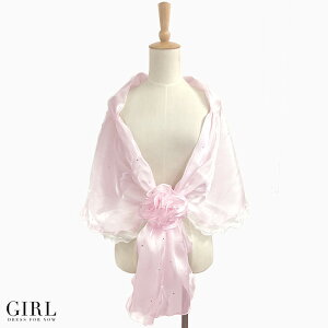 y[֑zV[ Xg[  p[eB[ Ă΂ HD tH[} fB[X 唻  I[KW[ J[fBK { 񎟉 Ӊ I w  