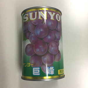 T[t[cʋlԂǂ×6