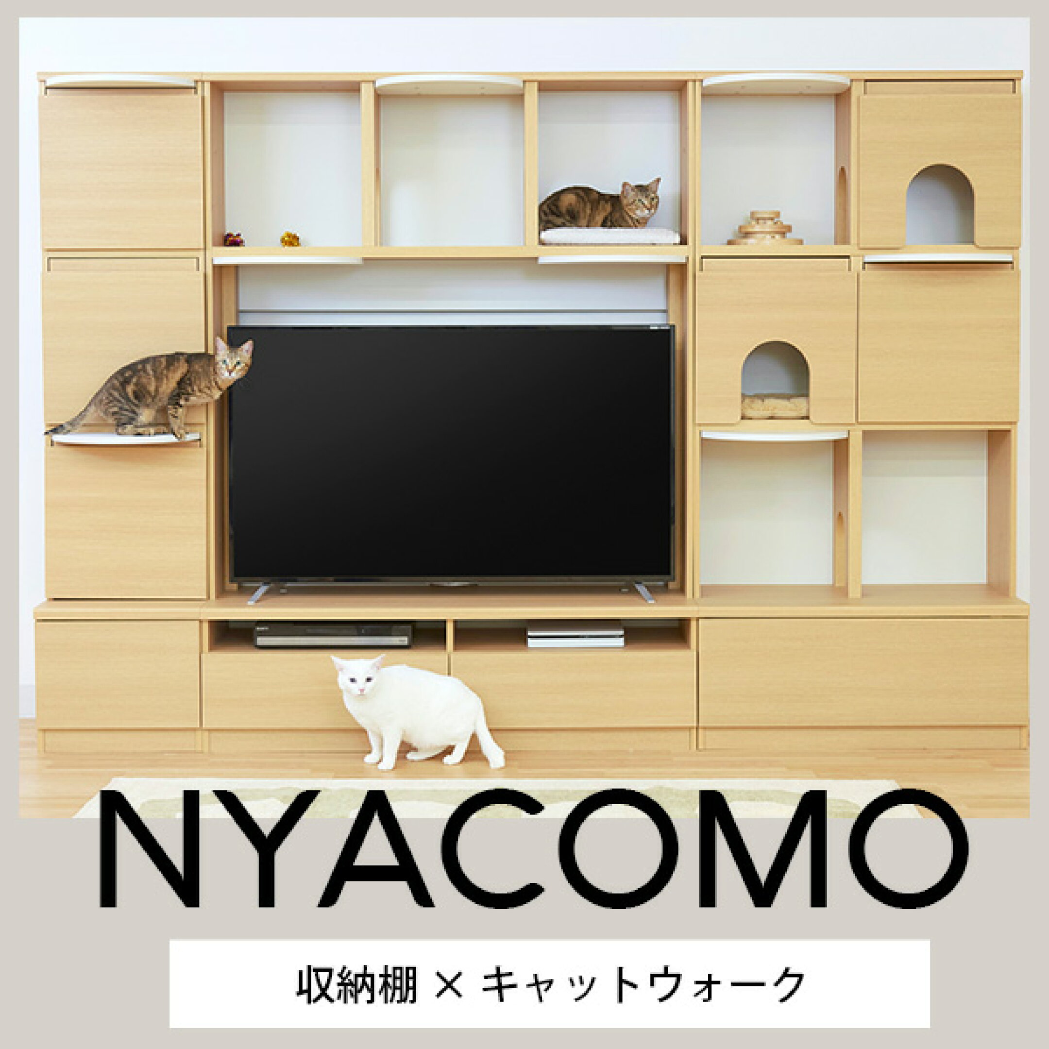 人と猫が一緒に使える棚のキャットウォーク