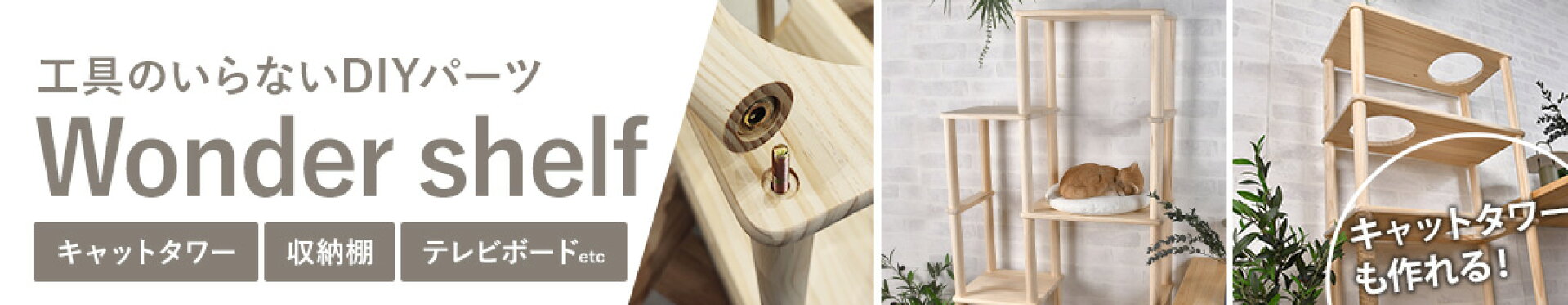 ワンダーシェルフ