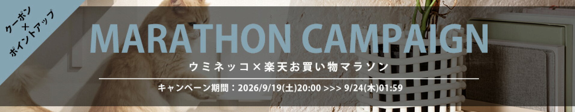 uminecco×楽天お買い物マラソン